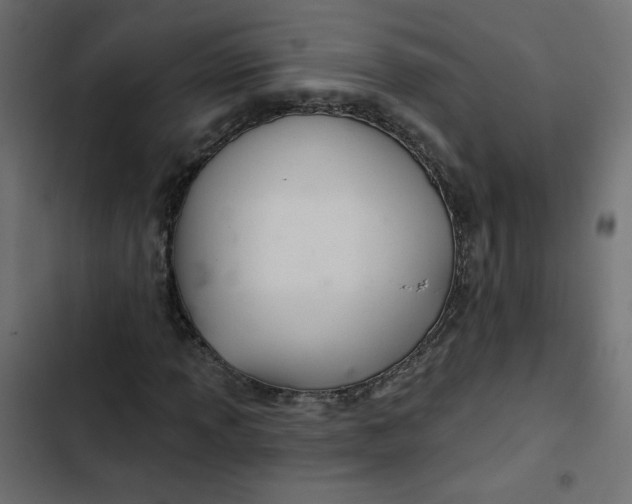 X0000103321013200809261131