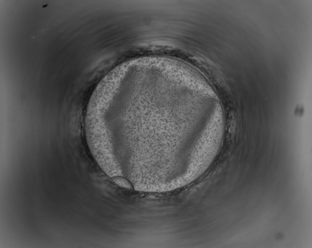 X0000103321014200809261131