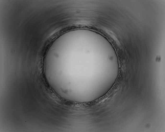 X0000103321015200809261131