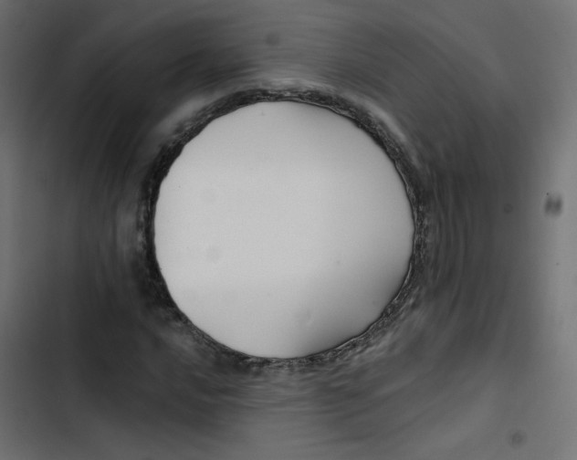 X0000103321016200809261131