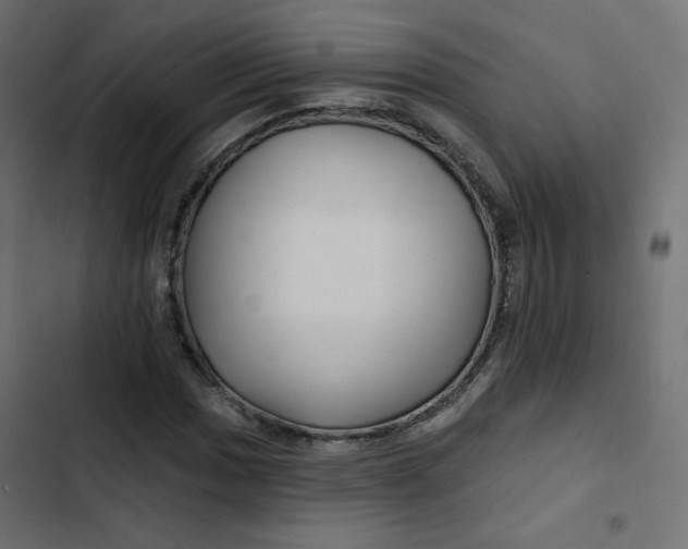 X0000103321017200809261131