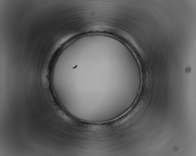 X0000103321018200809261131