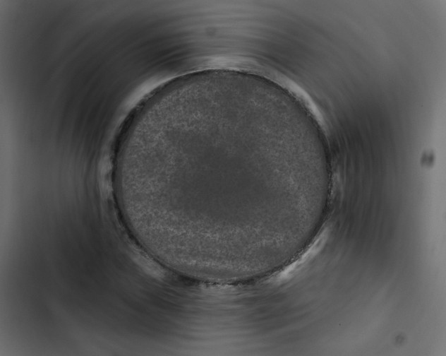 X0000103321019200809261131