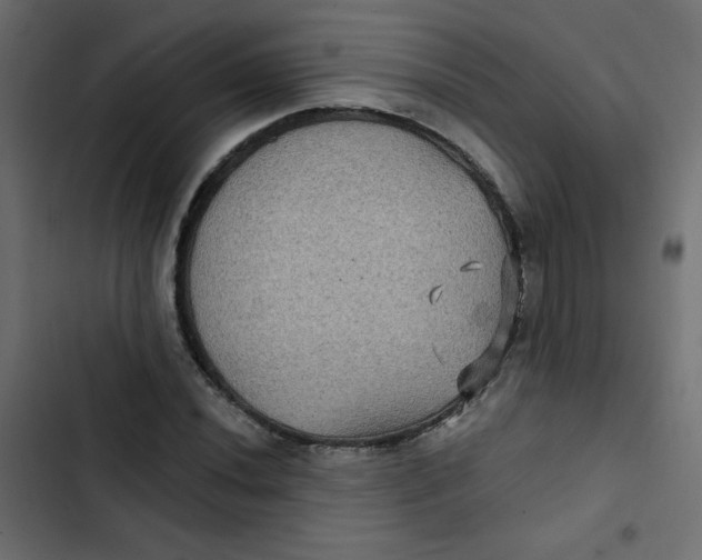 X0000103321020200809261131