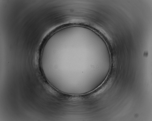 X0000103321021200809261131