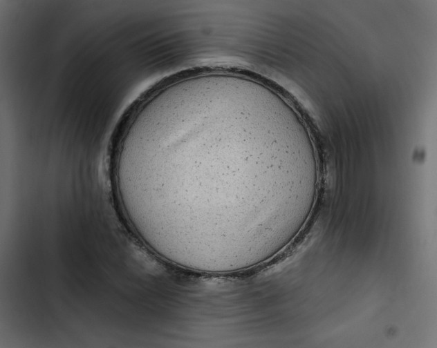 X0000103321022200809261131