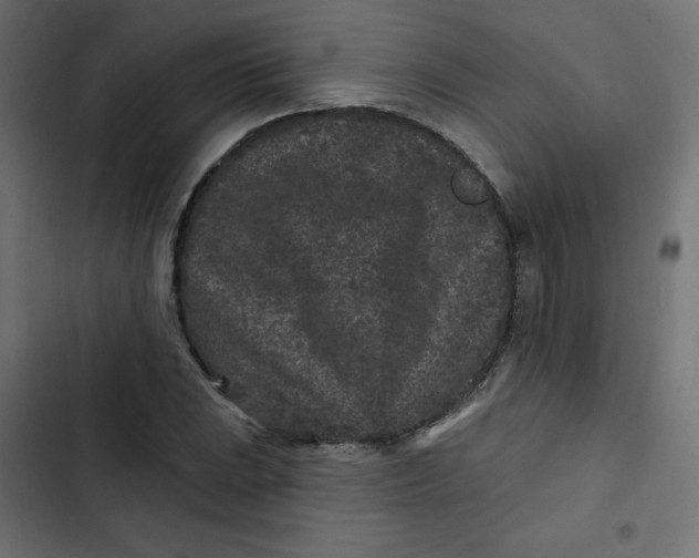 X0000103321023200809261131