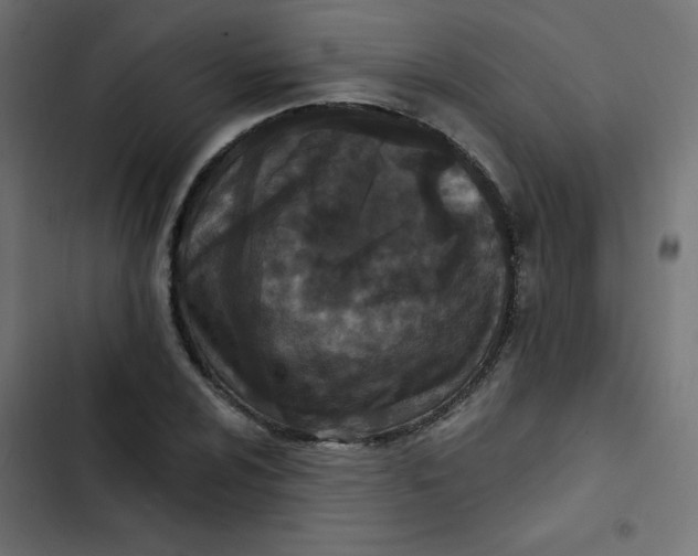 X0000103321024200809261131