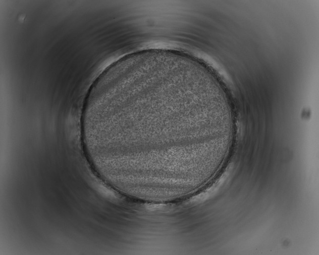 X0000103321025200809261131