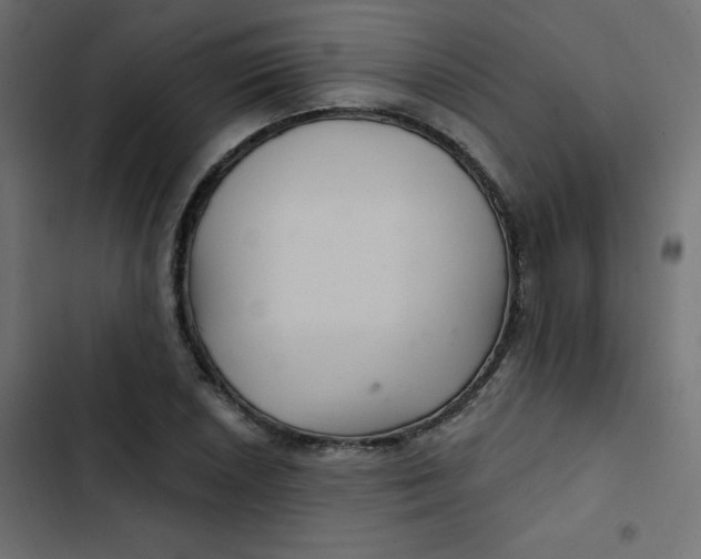 X0000103321026200809261131