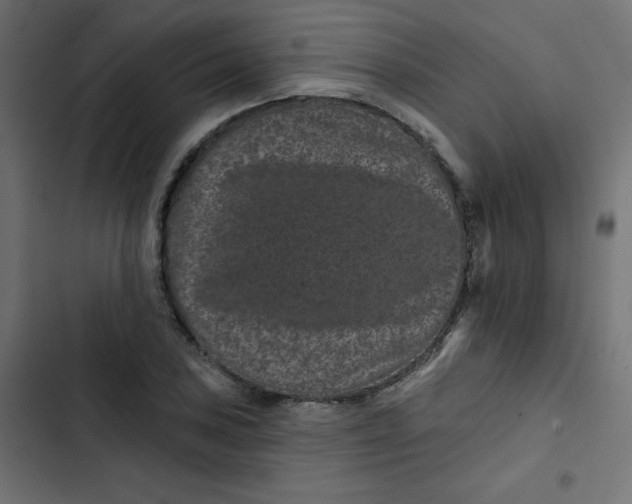 X0000103321027200809261131