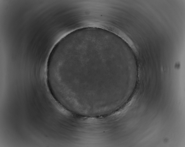 X0000103321028200809261131