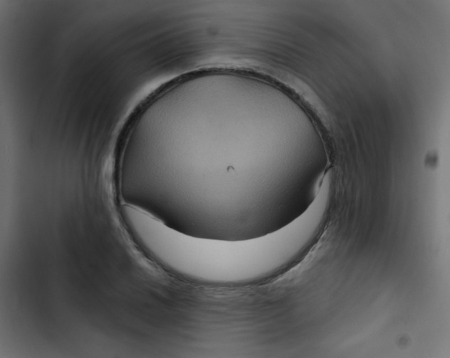 X0000103321030200809261131