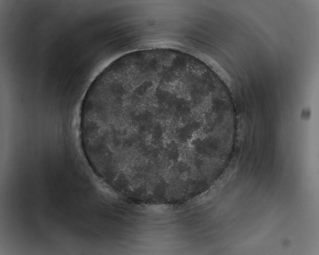 X0000103321031200809261131