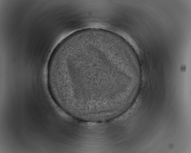 X0000103321032200809261131