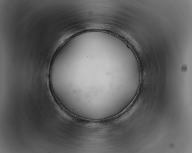 X0000103321033200809261131