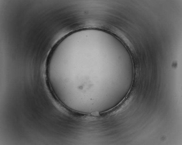 X0000103321034200809261131