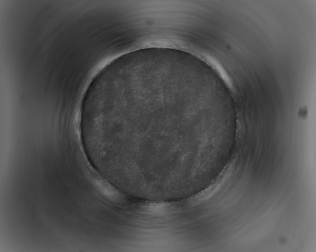 X0000103321035200809261131