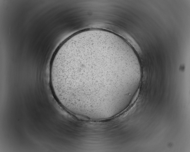 X0000103321036200809261131