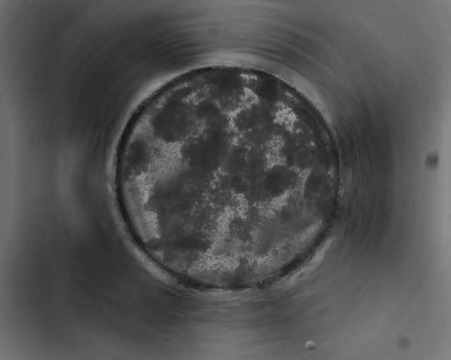 X0000103321037200809261131