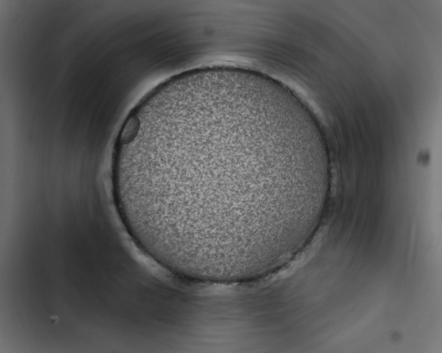 X0000103321038200809261131