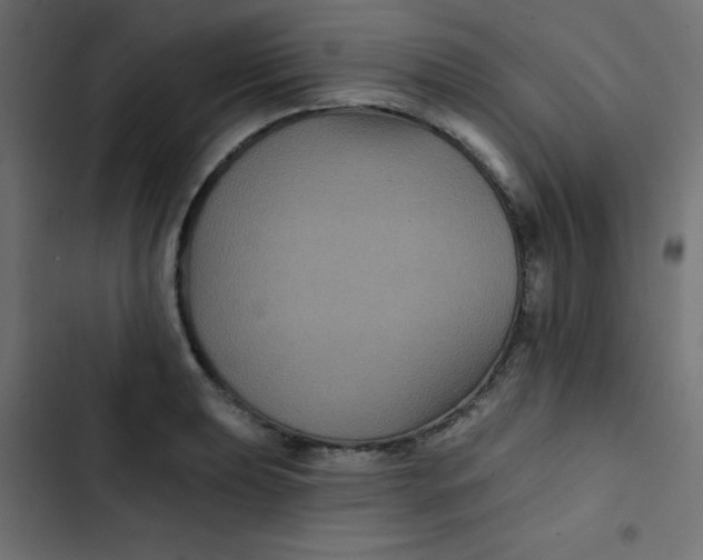 X0000103321039200809261131