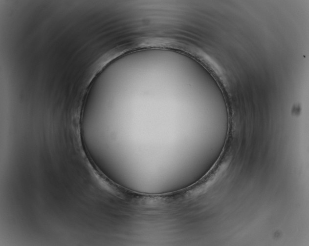 X0000103321041200809261131