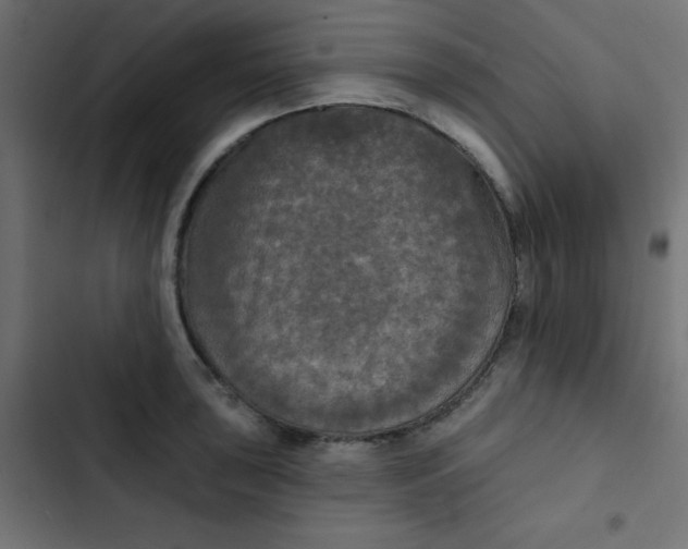 X0000103321043200809261131