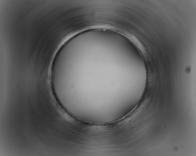 X0000103321044200809261131