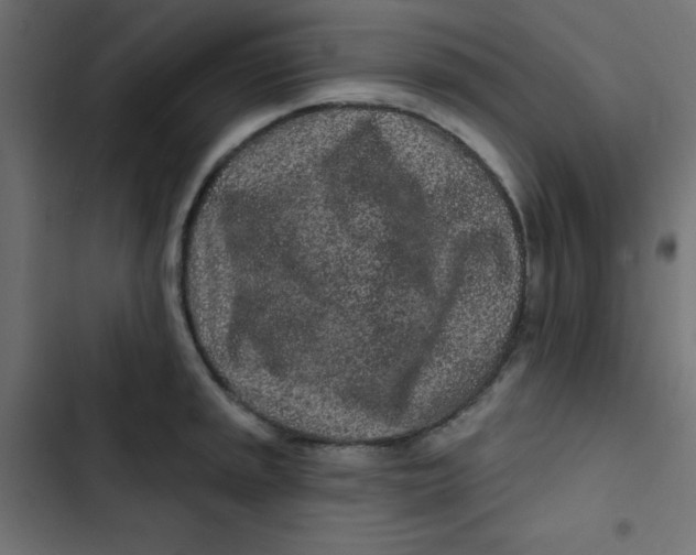 X0000103321045200809261131