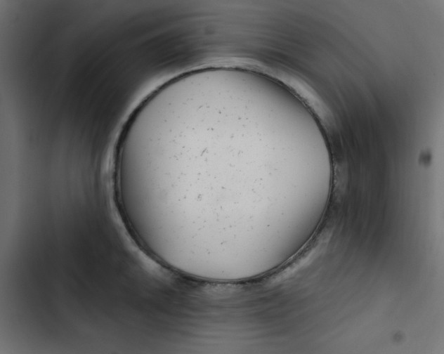 X0000103321046200809261132