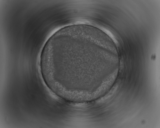 X0000103321047200809261132