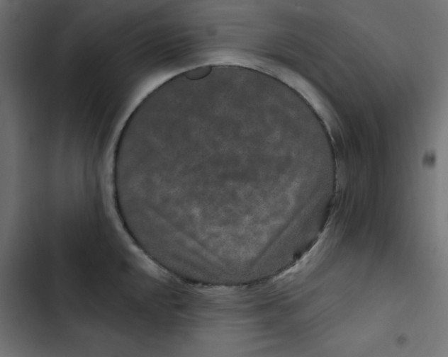 X0000103321048200809261132