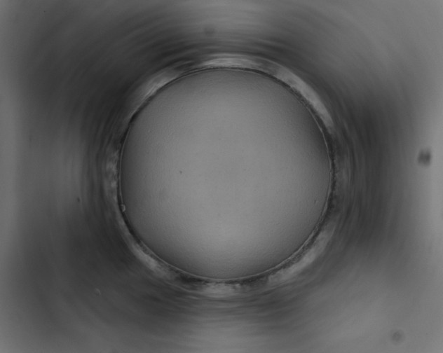 X0000103321049200809261132