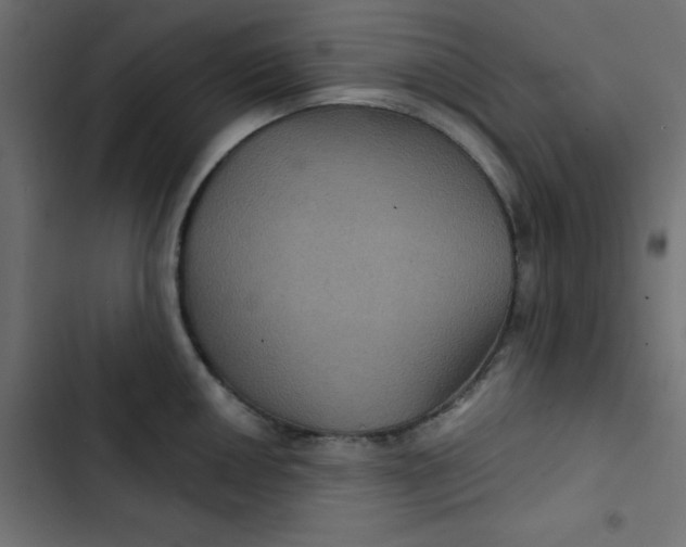 X0000103321050200809261132