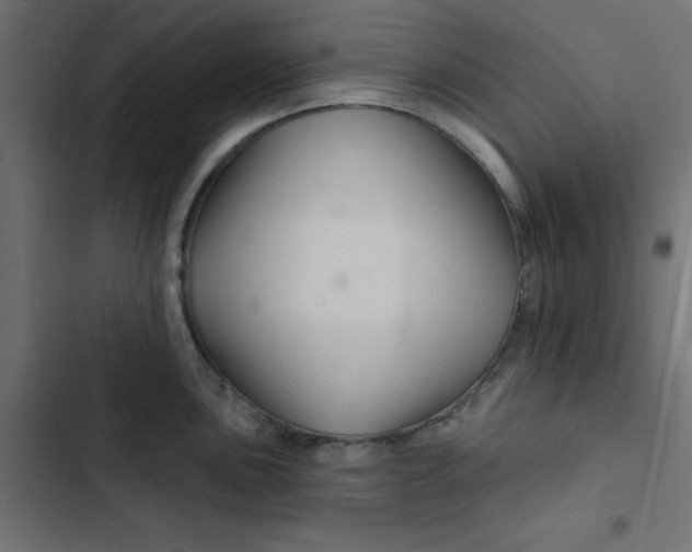 X0000103321051200809261132