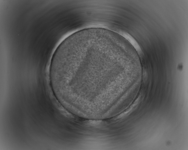 X0000103321052200809261132