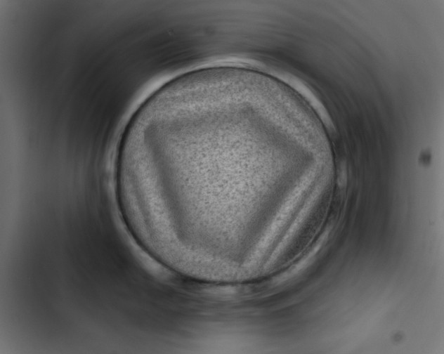 X0000103321054200809261132