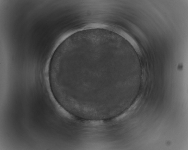 X0000103321055200809261132