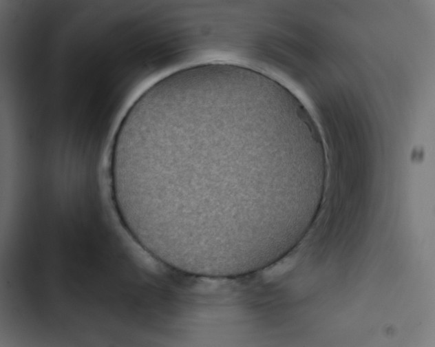 X0000103321056200809261132