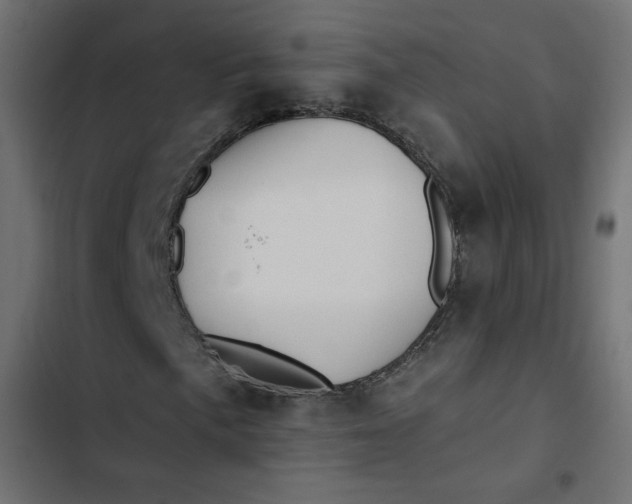 X0000103321057200809261131