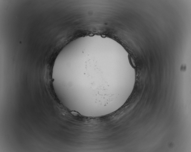 X0000103321058200809261131