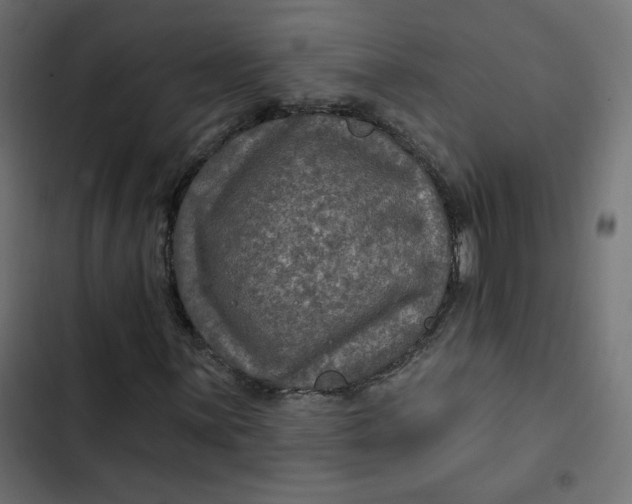 X0000103321059200809261131