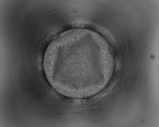 X0000103321060200809261131