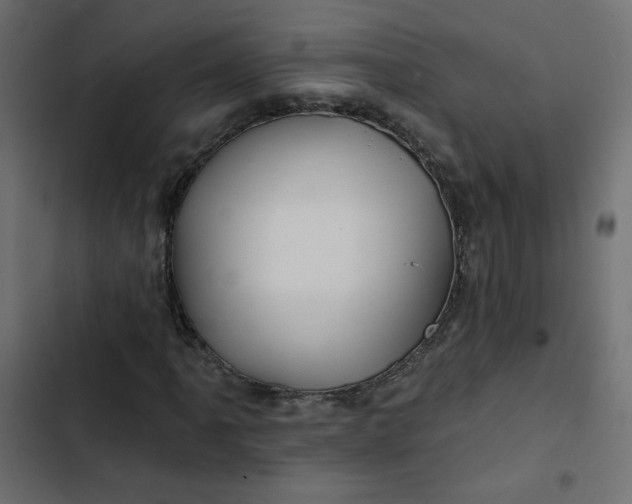 X0000103321061200809261131