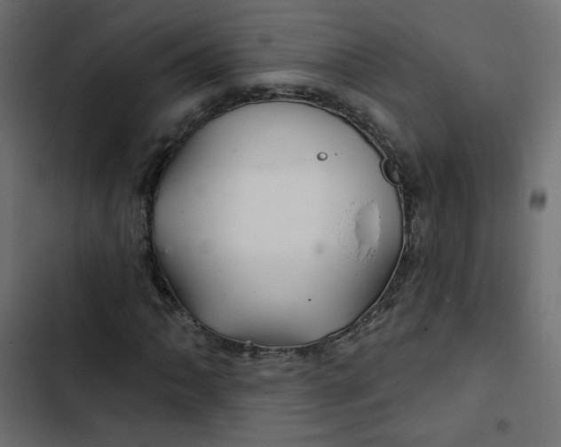 X0000103321062200809261131