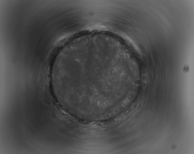 X0000103321063200809261131