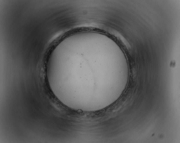 X0000103321064200809261131