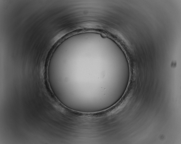 X0000103321065200809261131