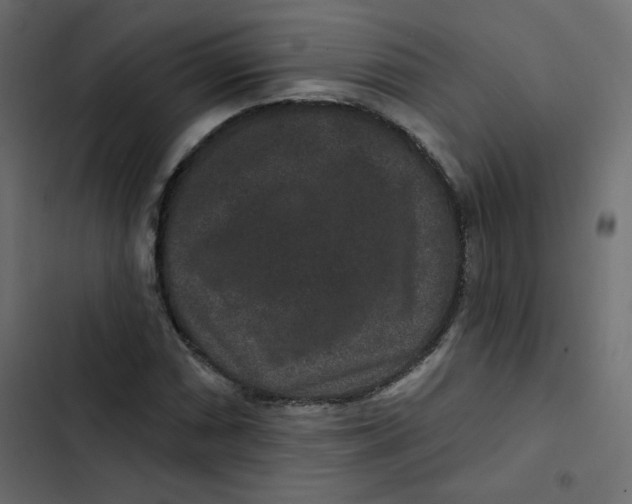 X0000103321066200809261131